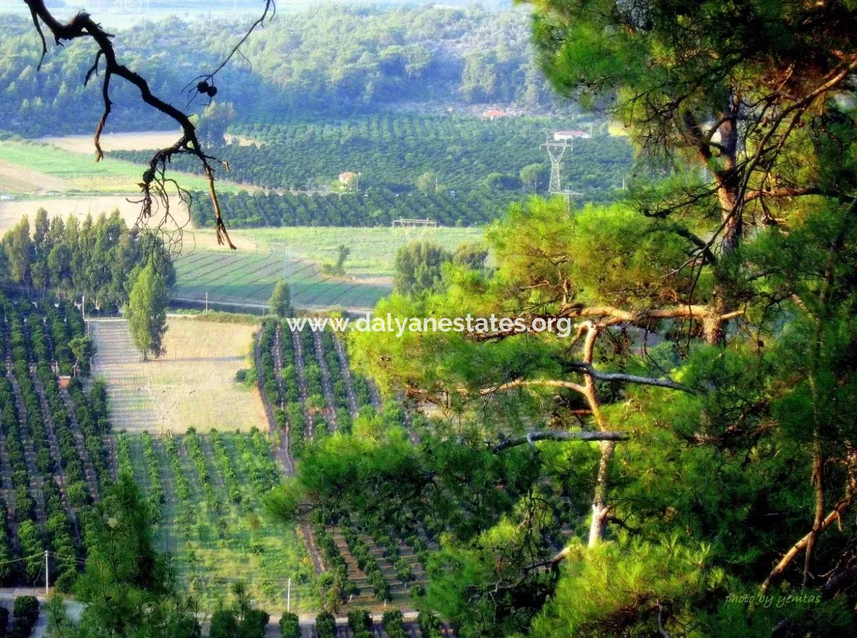 Gökçe Gökçe 21671M2 Bauernhof Zum Verkauf Zum Verkauf