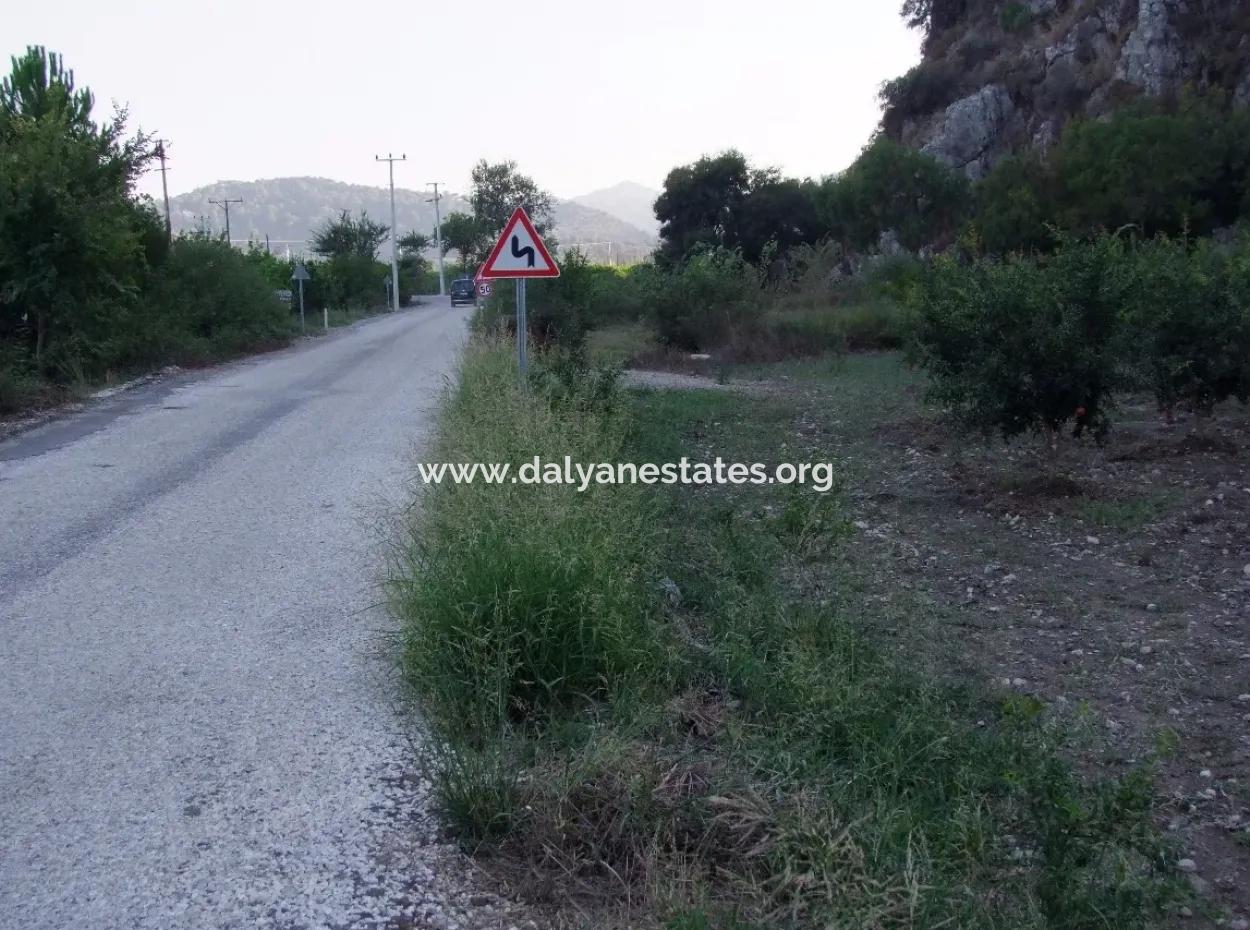 Grundstück Zum Verkauf Granatapfel Garten Zum Verkauf In Oriya Mergenli Mergenli
