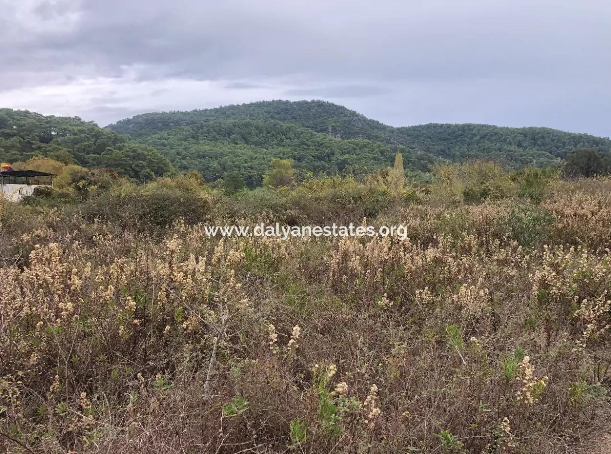 Land Zum Verkauf Null Zu 'Aml' Kanal 28768M2 Land Zum Verkauf Mit Meerblick In Camlida