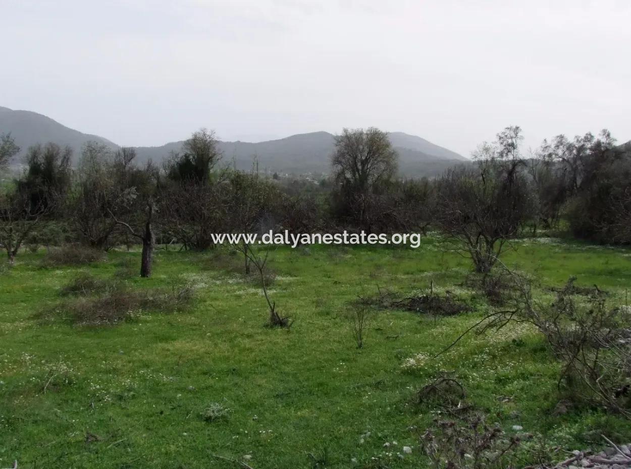 In Incirkoy Uzumlu Fethiye Grundstück Für Verkauf Bauernhof Zum Verkauf In Incirkoy