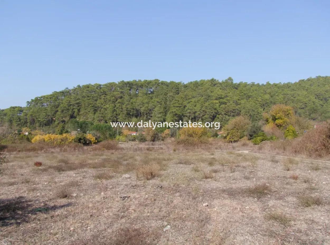 6850M2 Zonierungland Mit Meerblick In 'Aml'