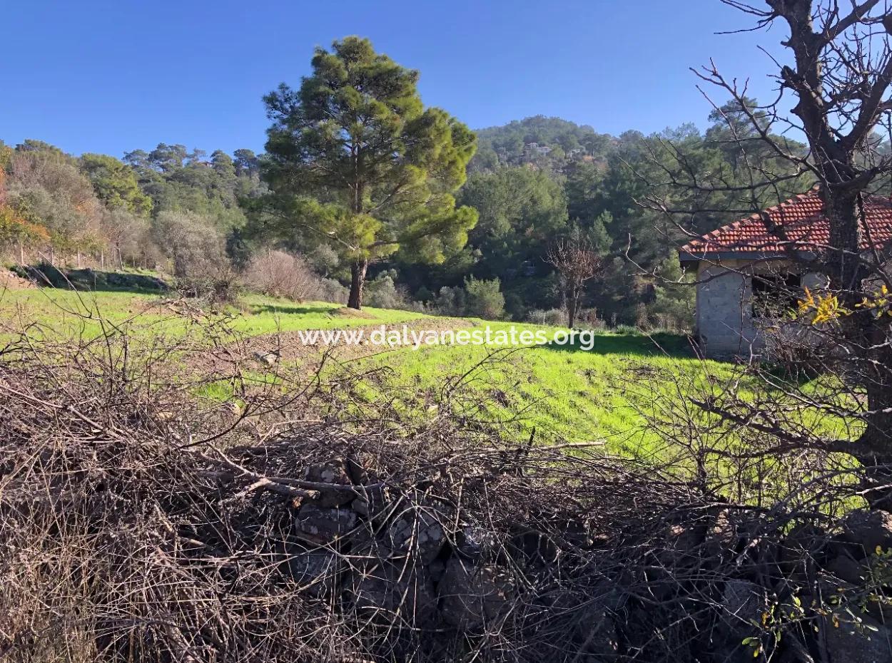 Gokbel Land Zu Verkaufen 8000M2 Land Zum Verkauf Mit Voller Meerblick