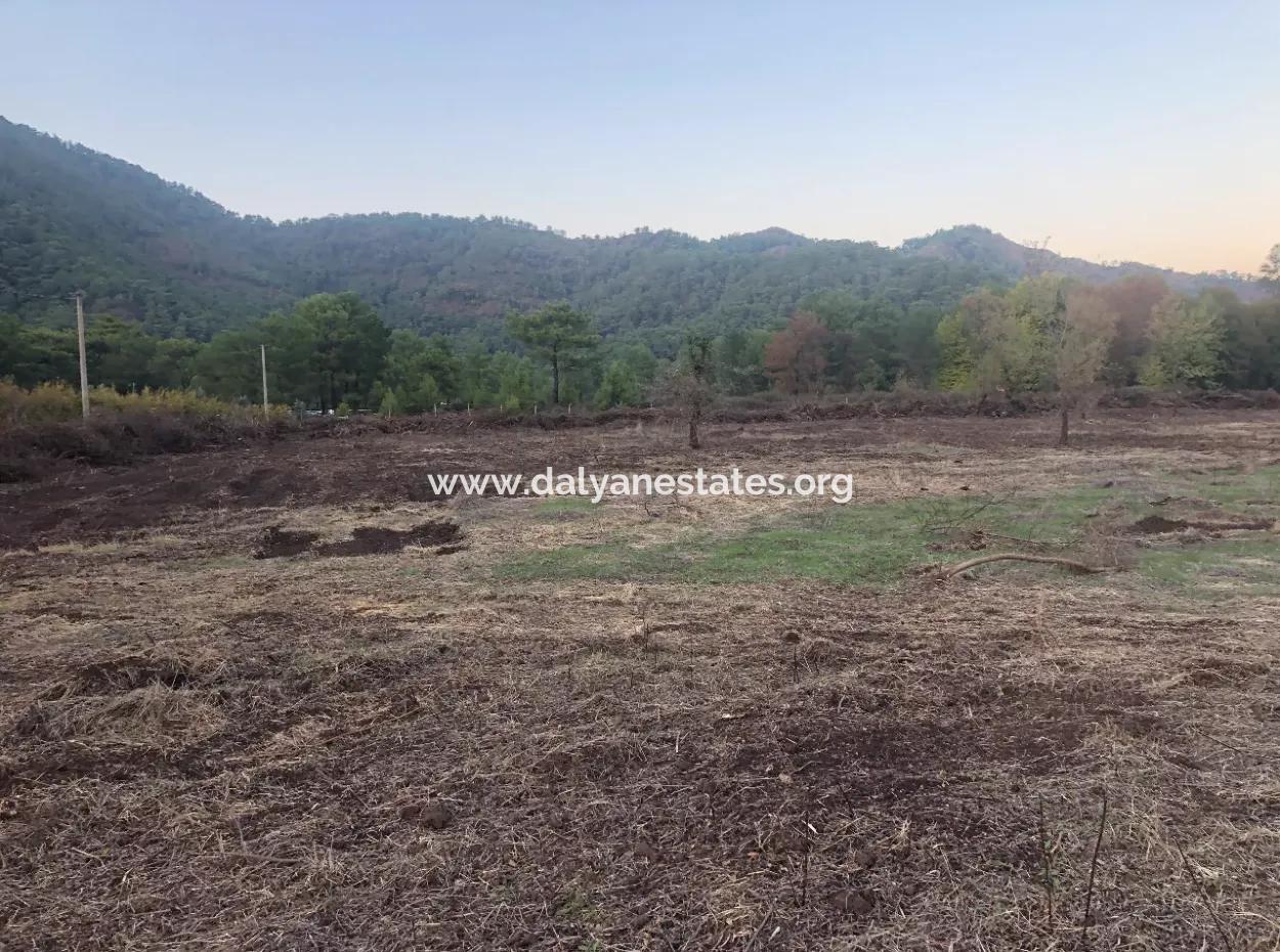 Sultaniye Land For Sale Near 10577M2 Lake Land For Sale