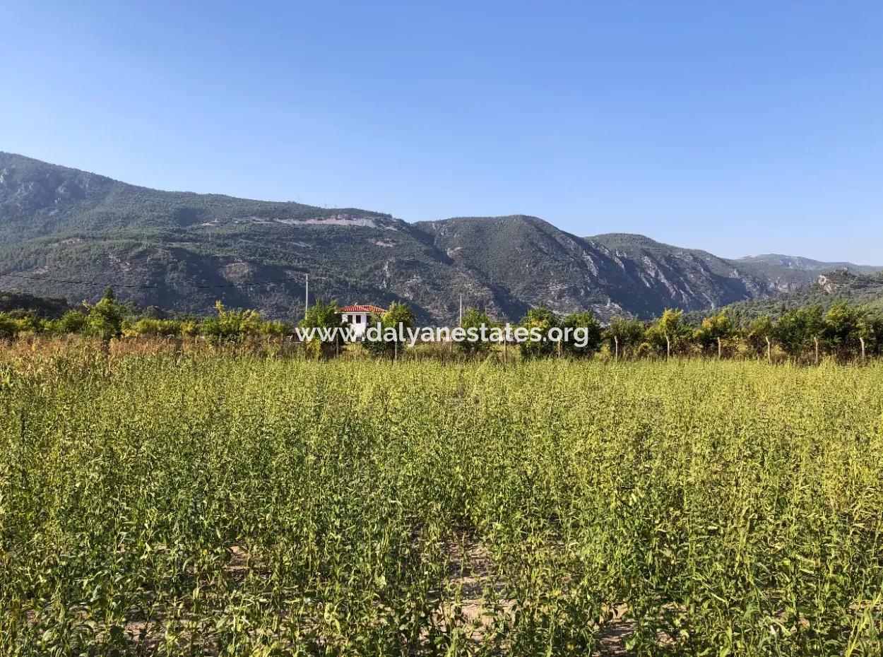 Field Zu Verkaufen In Ak'apinar 100 Acres Zu Verkaufen