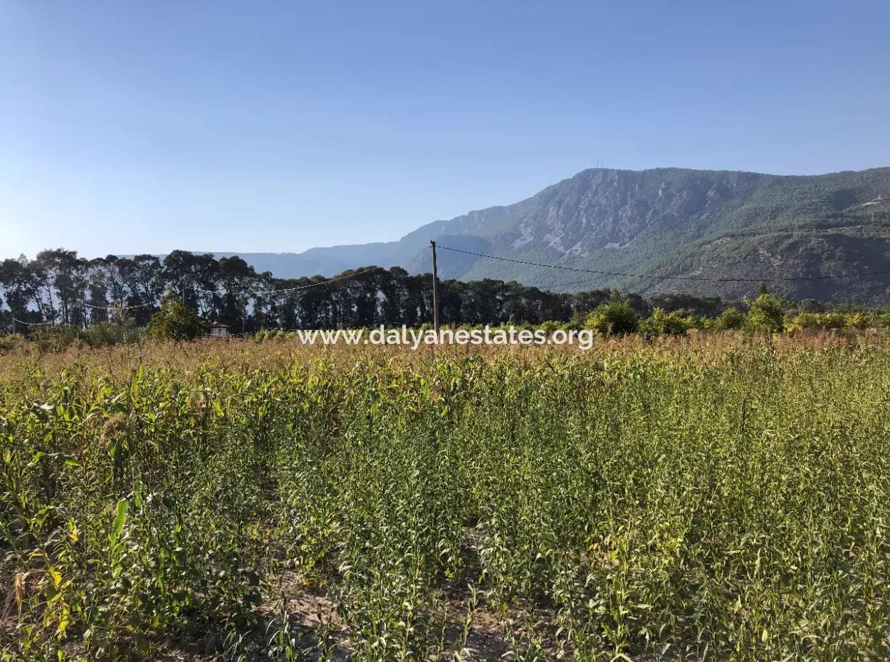 Field Zu Verkaufen In Ak'apinar 100 Acres Zu Verkaufen