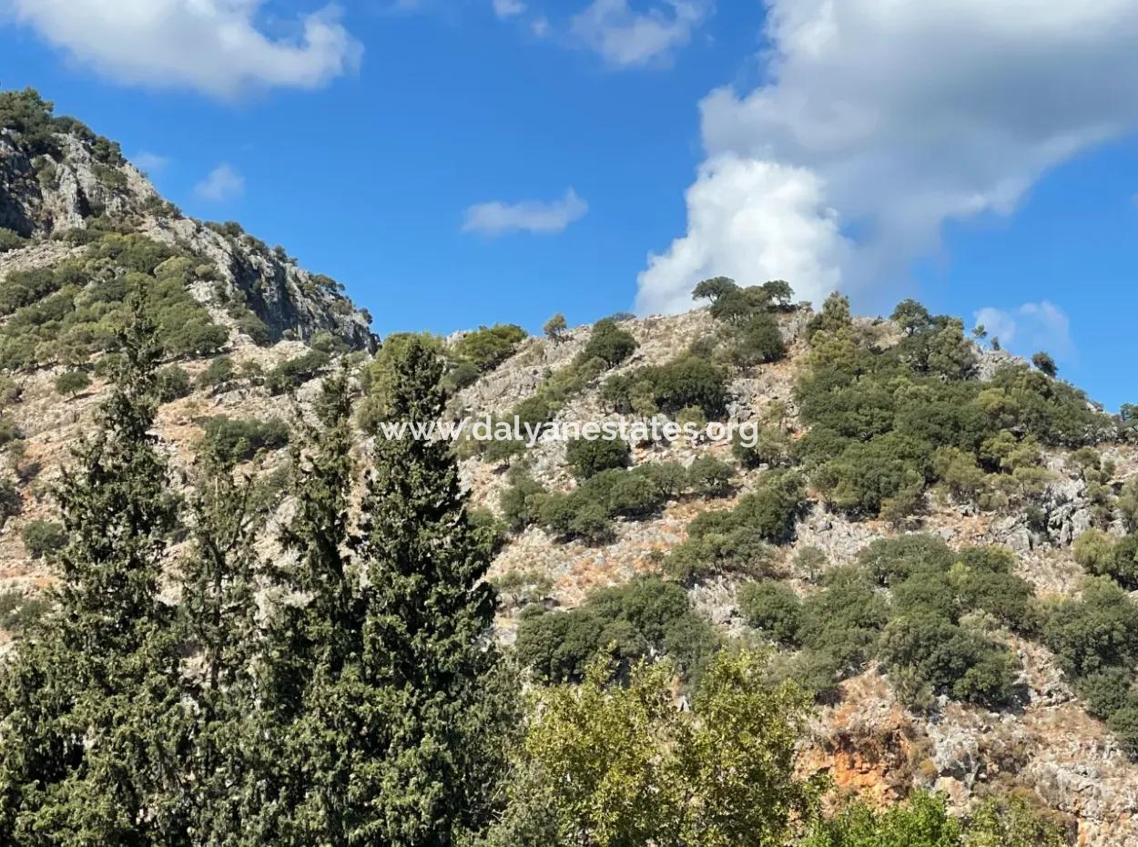 Dalyan 15 Zimmer Apartment Hotel Zu Verkaufen