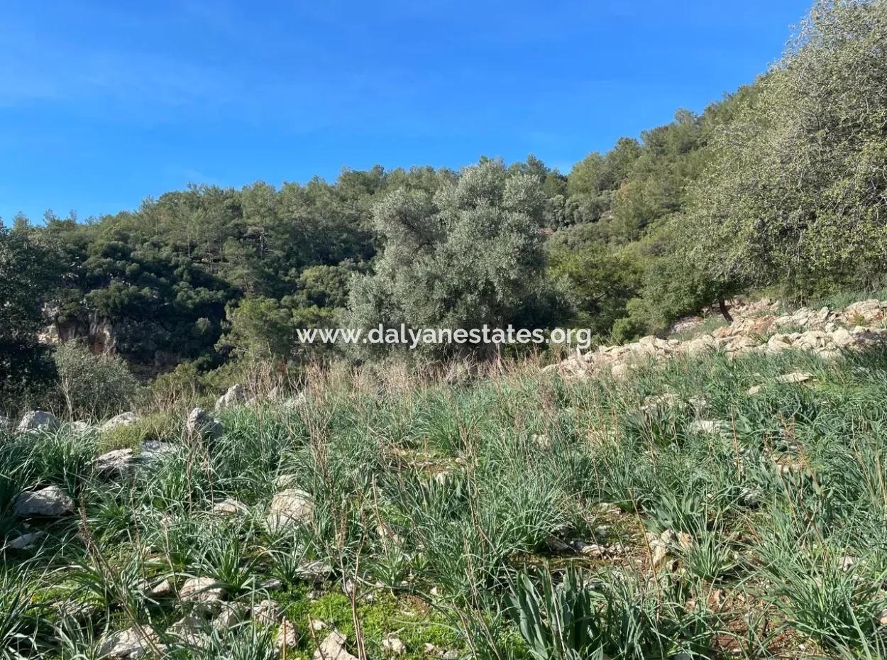 8.900M2 Feld Zum Verkauf Mit Vollem Meerblick In Ekincik