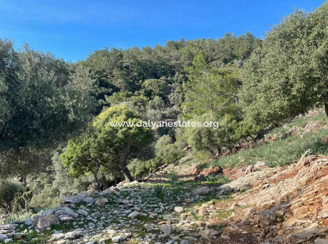 8.900M2 Feld Zum Verkauf Mit Vollem Meerblick In Ekincik