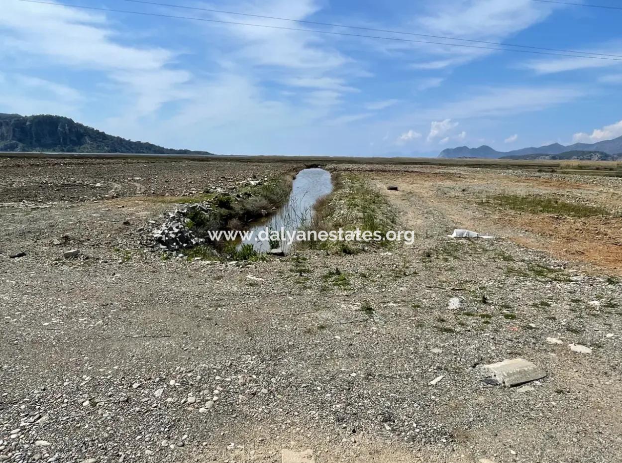 Dalyan Iztuzu Strand Straße Null 19.600M2 Feld Land Zum Verkauf