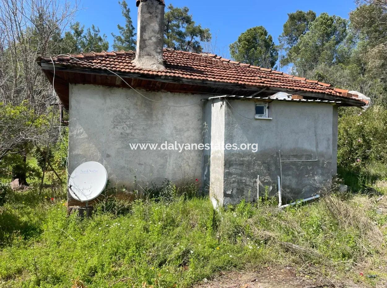 Mehrfamilienhaus Zum Verkauf In 5650M2 Feld In Zeytinalann