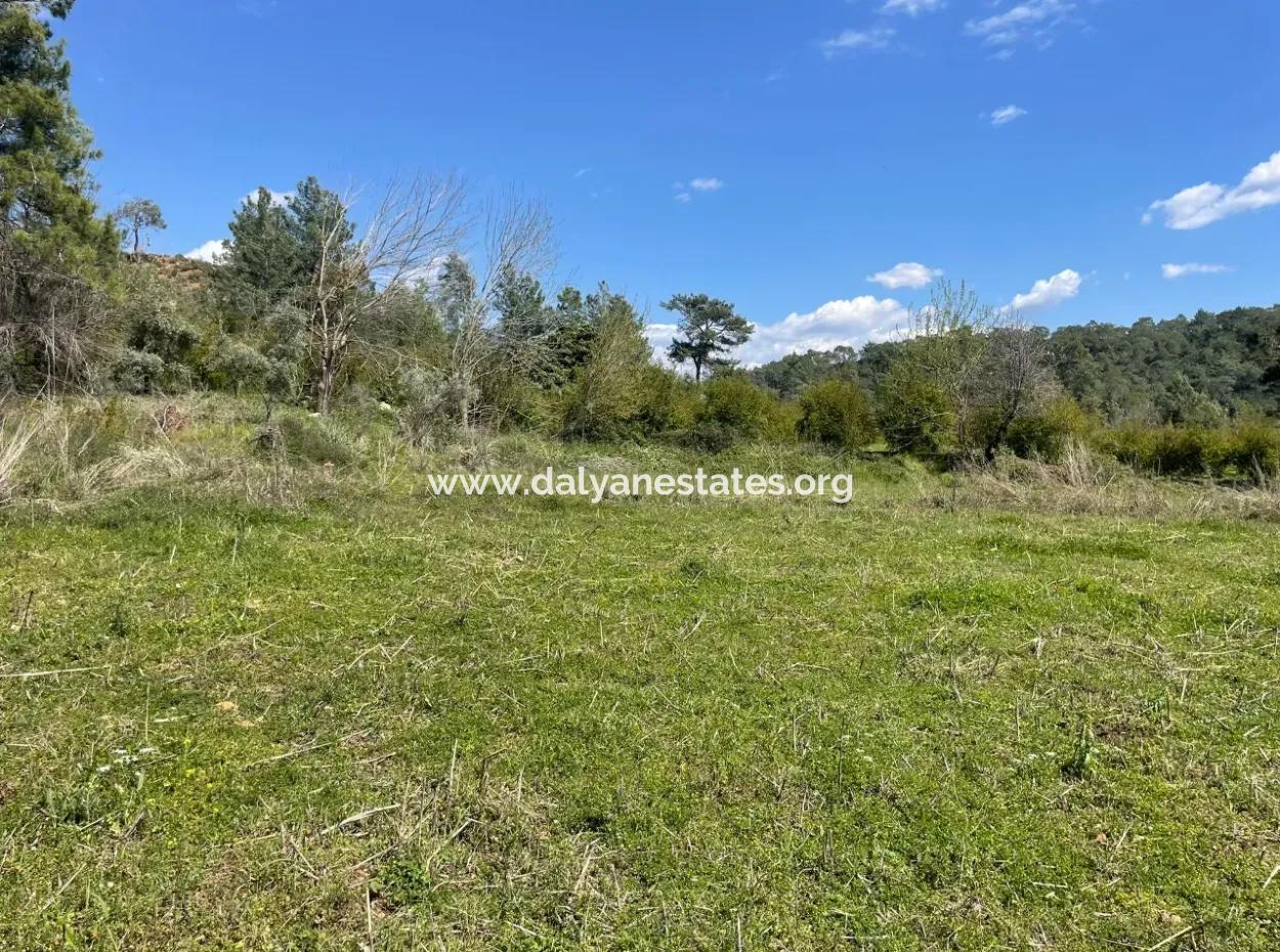 Mehrfamilienhaus Zum Verkauf In 5650M2 Feld In Zeytinalann