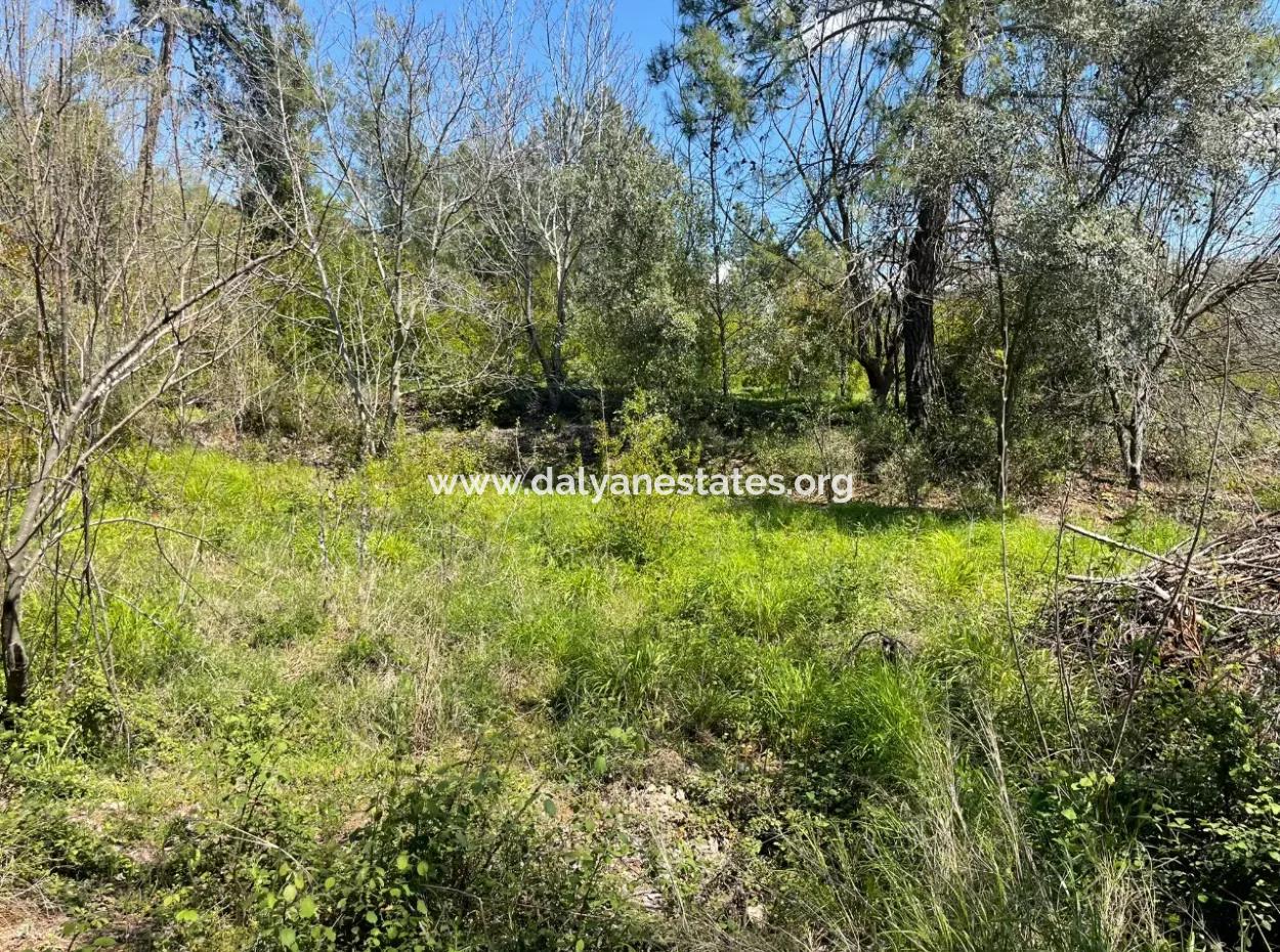 Mehrfamilienhaus Zum Verkauf In 5650M2 Feld In Zeytinalann