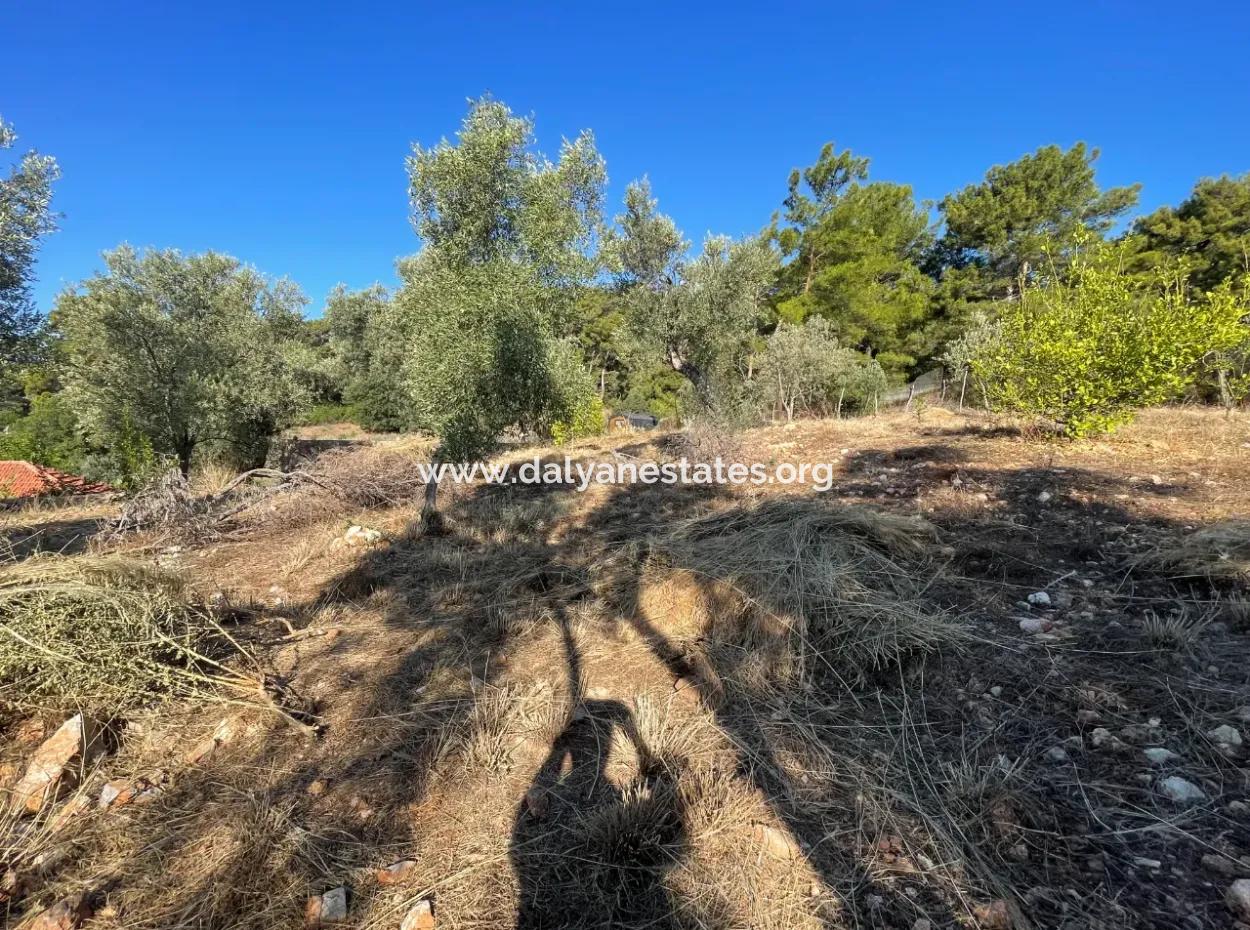 Çandır Voller Meer- Und Seeblick 500M2 2B Feld Zu Verkaufen
