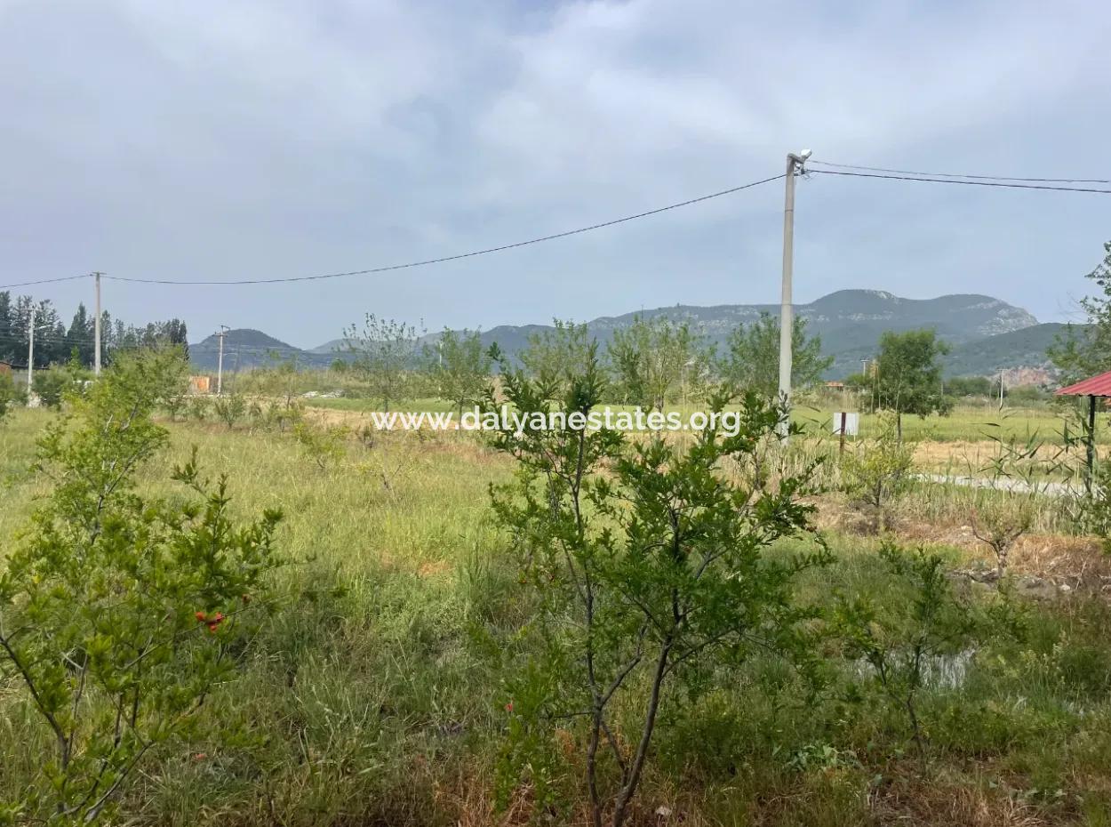 Feld Zu Verkaufen 6500M2 In Dalyan