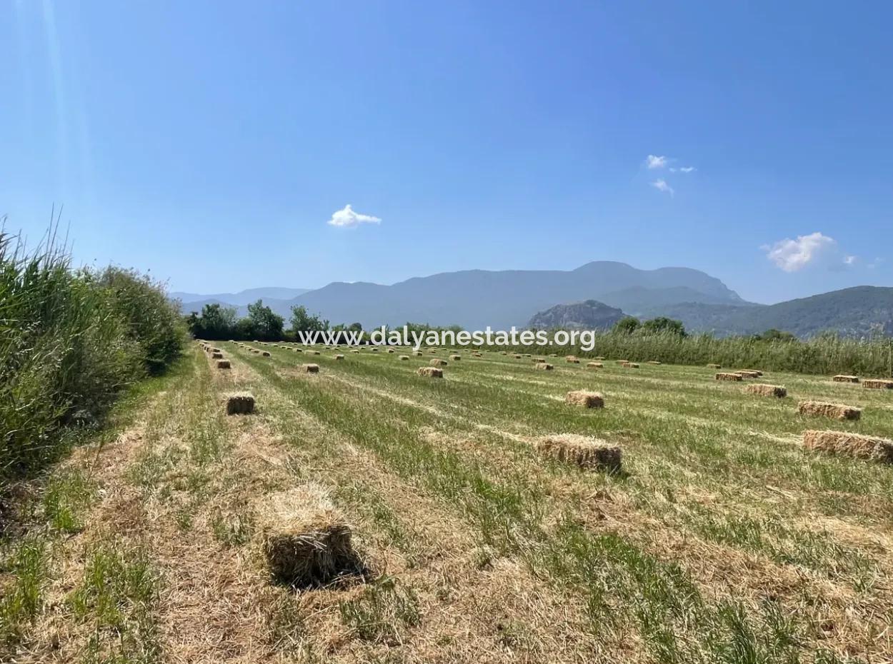 6.500 M2 Feld Zum Verkauf An Der Iztuzu-Straße In Dalyan