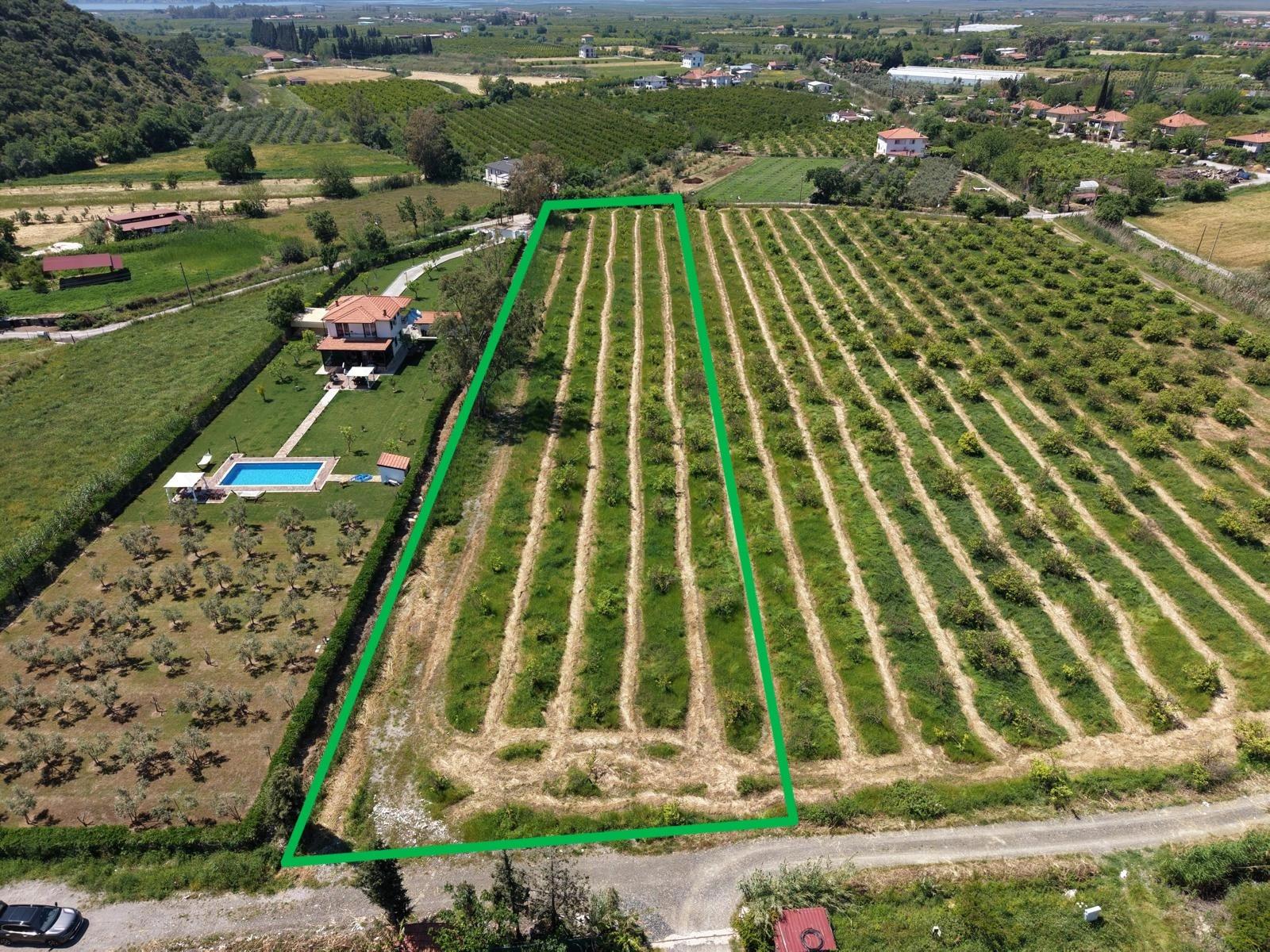 5100m2 Plot Of Land For Sale Near Dalyan Town Center.
