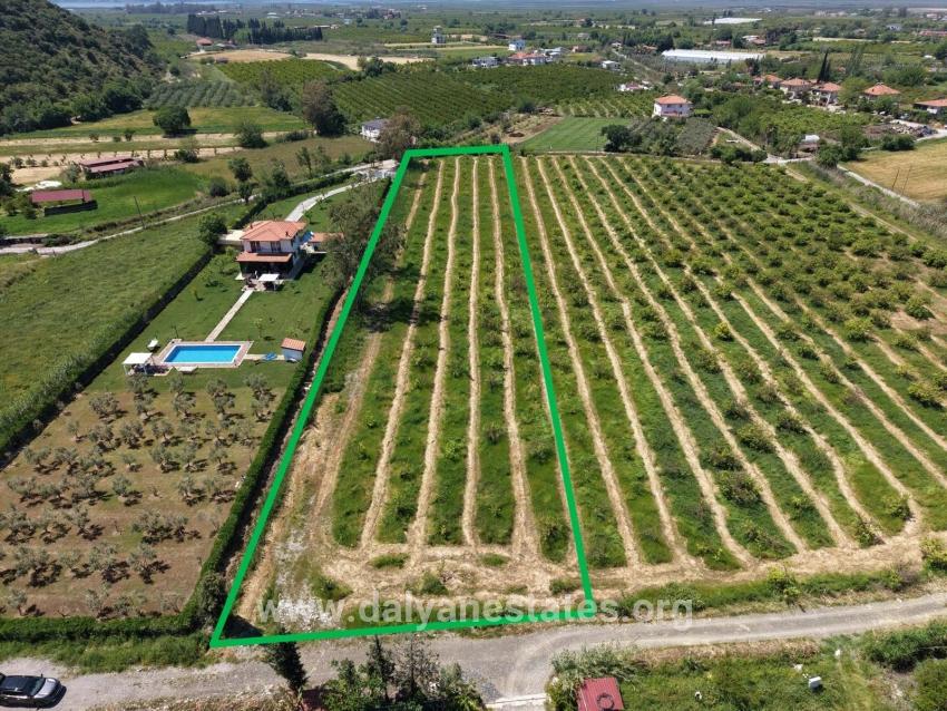Field For sale in Dalyan Nbh. Ortaca - Field Zoned - 5.100 m²