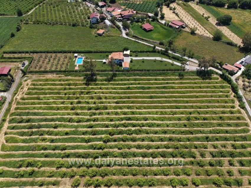 5100m2 Plot Of Land For Sale Near Dalyan Town Center.
