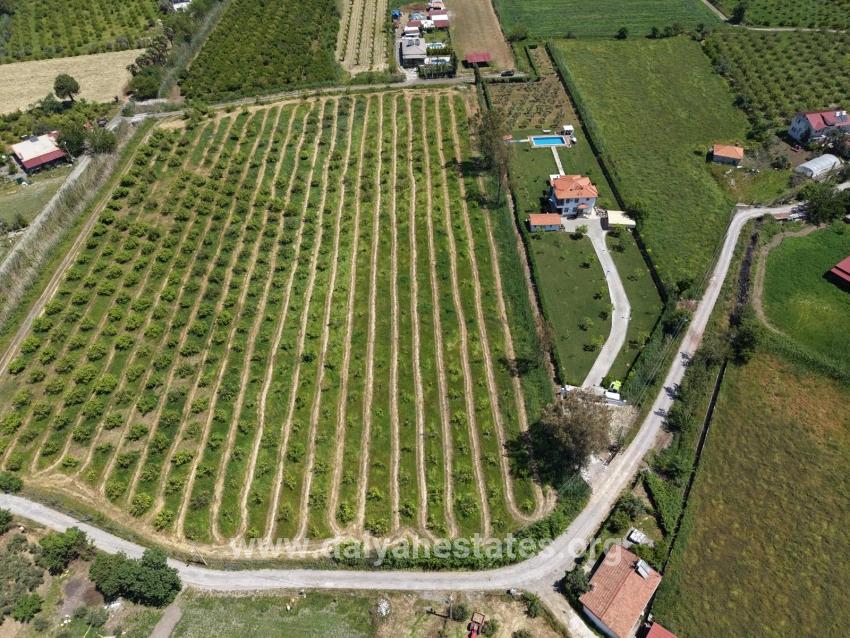 5100m2 Plot Of Land For Sale Near Dalyan Town Center.