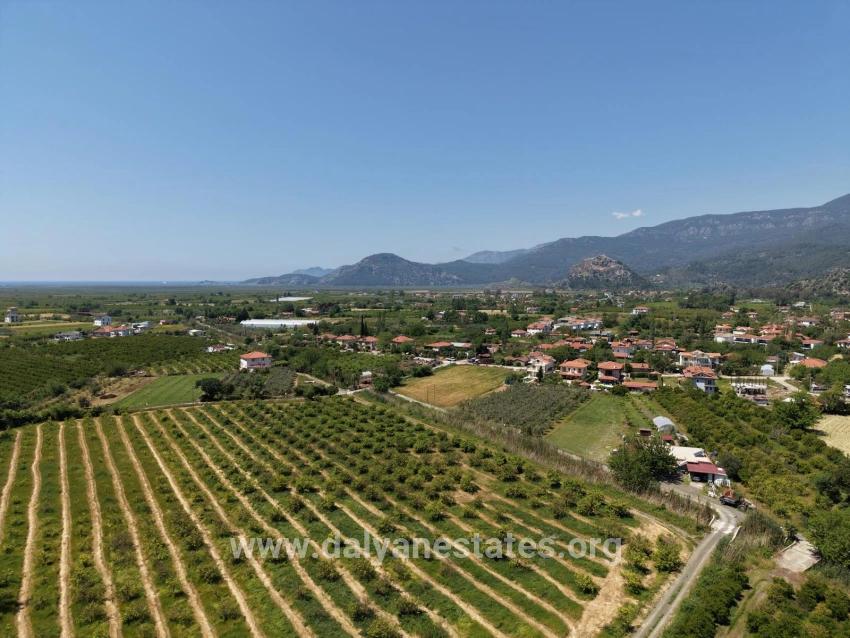 5100m2 Plot Of Land For Sale Near Dalyan Town Center.