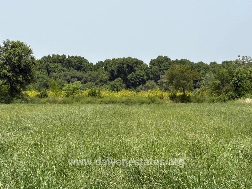 2100 M2 Plot Of Land For Sale In Okçular Marmaris.