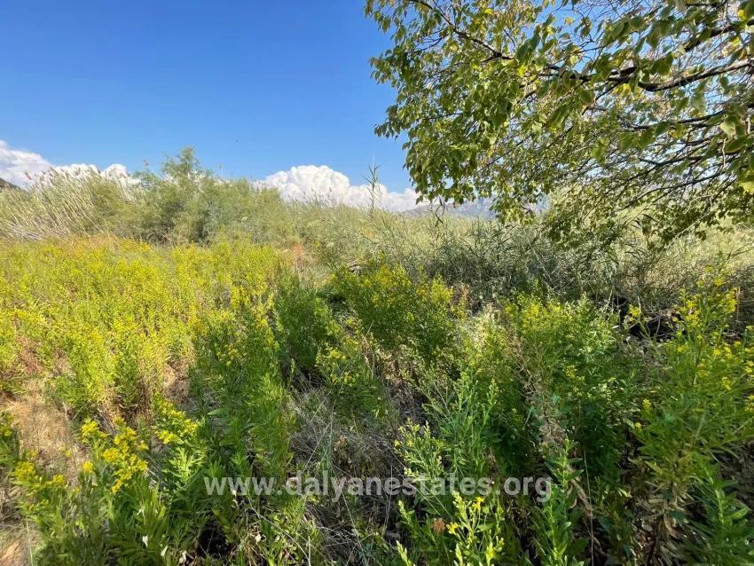 2765m2 Detached House For Sale In Çandır, Right Next To The Canal
