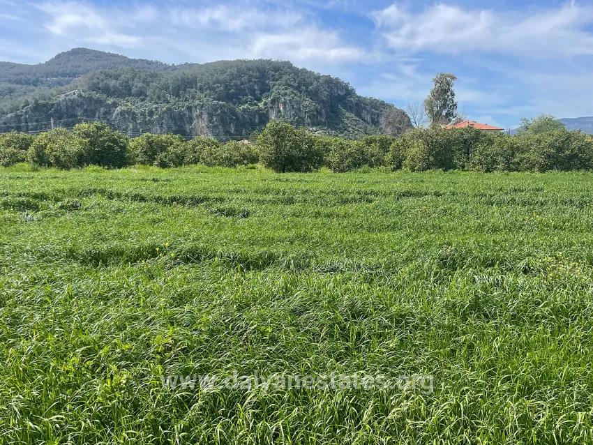 Archers' In Okçular'da 736m2 Olan 250m2 Construction Licensed For Sale Plot