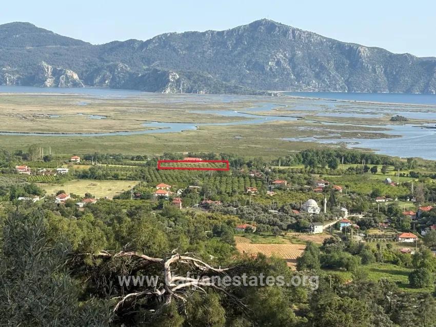 Field For sale in Çandır Nbh. Köyceğiz - Field Zoned - 1.252 m²