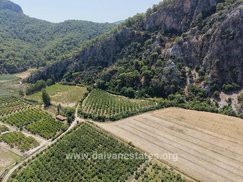 Field For sale in Dalyan Nbh. Ortaca - Field Zoned - 20.786 m²