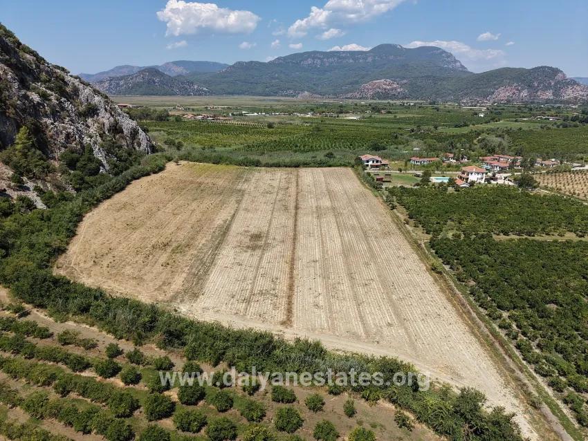 Field For sale in Dalyan Nbh. Ortaca - Field Zoned - 20.786 m²