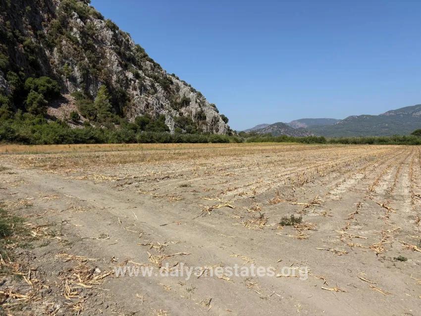 Field For sale in Dalyan Nbh. Ortaca - Field Zoned - 20.786 m²