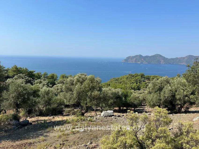 Field For sale in Çandır Nbh. Köyceğiz - Field Zoned - 21.000 m²