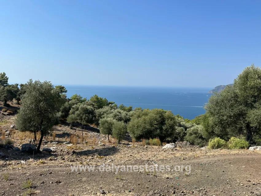 Field For sale in Çandır Nbh. Köyceğiz - Field Zoned - 21.000 m²