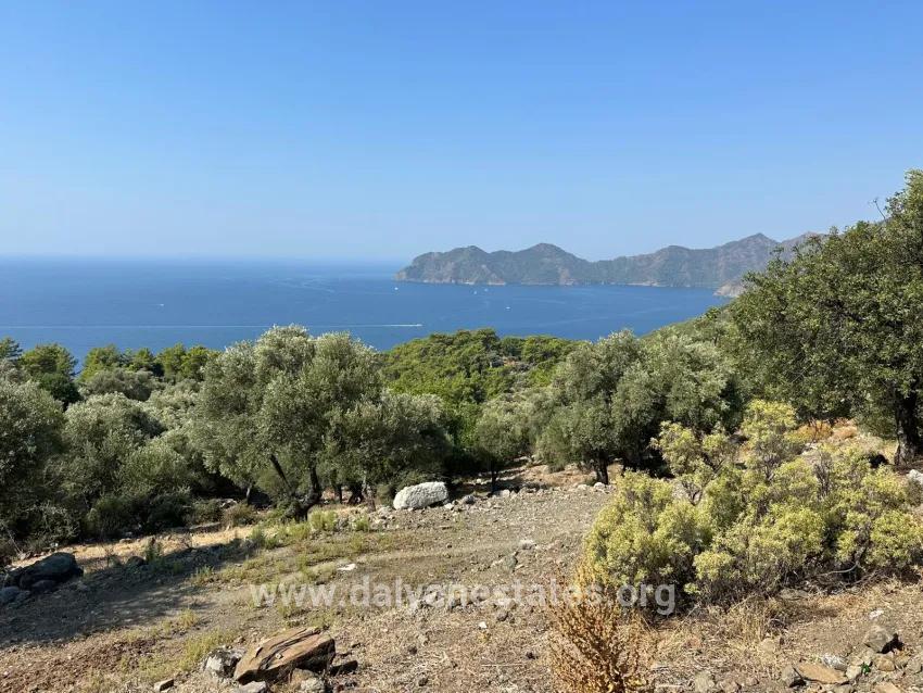 Field For sale in Çandır Nbh. Köyceğiz - Field Zoned - 21.000 m²