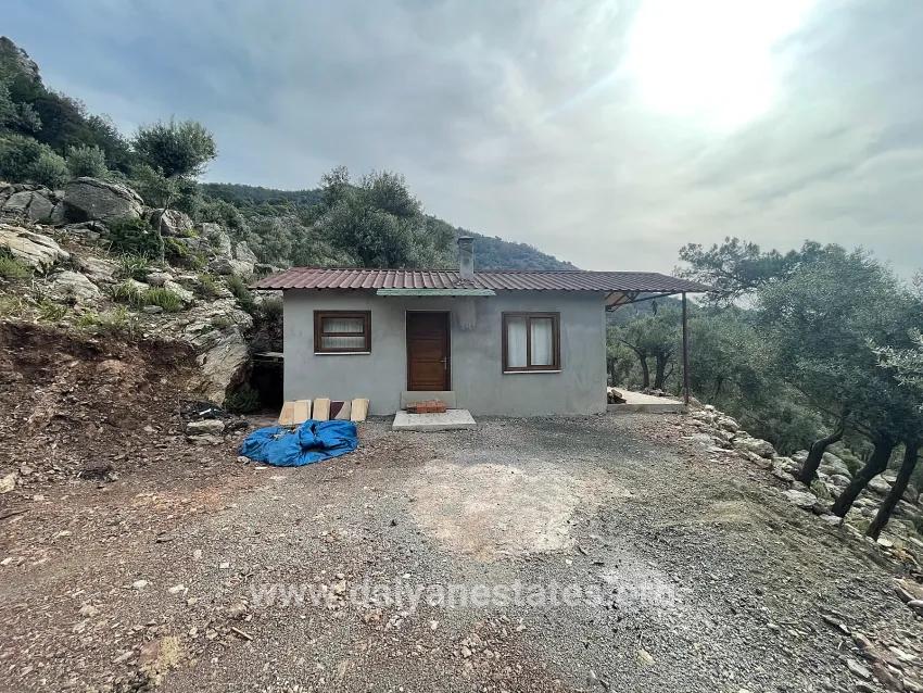 Field For sale in Ekincik Nbh. Köyceğiz - Olive Zoned - 7.000 m²