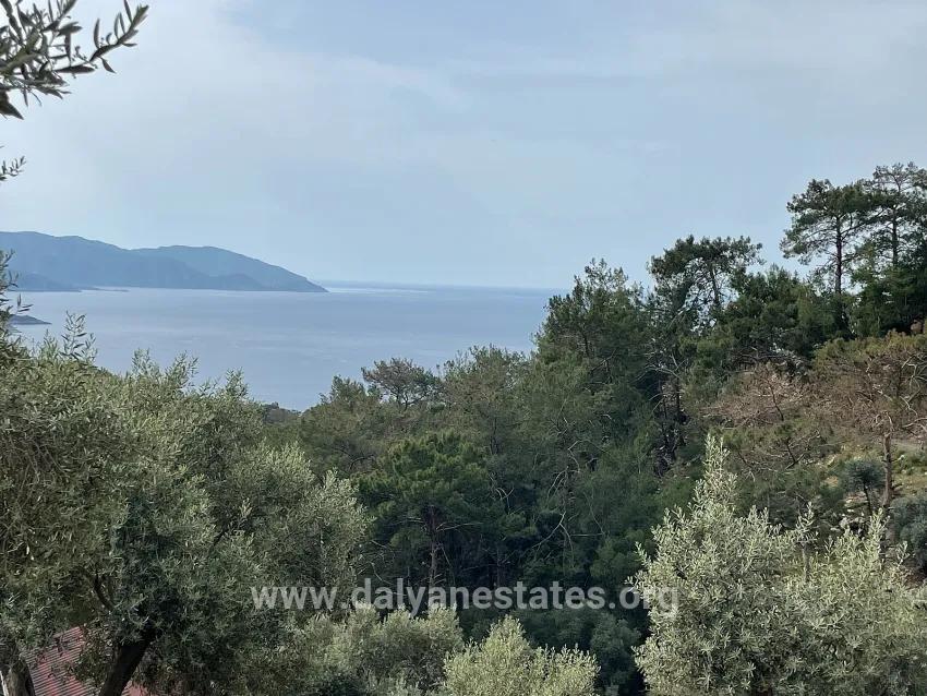 Field For sale in Ekincik Nbh. Köyceğiz - Olive Zoned - 7.000 m²