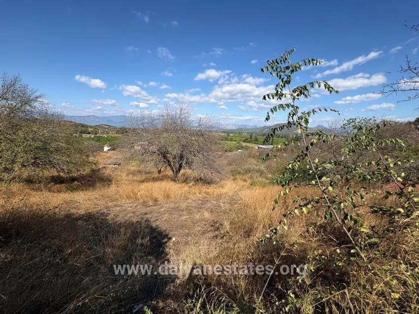 Field For sale in Dalyan Nbh. Ortaca - Field Zoned - 5.000 m²