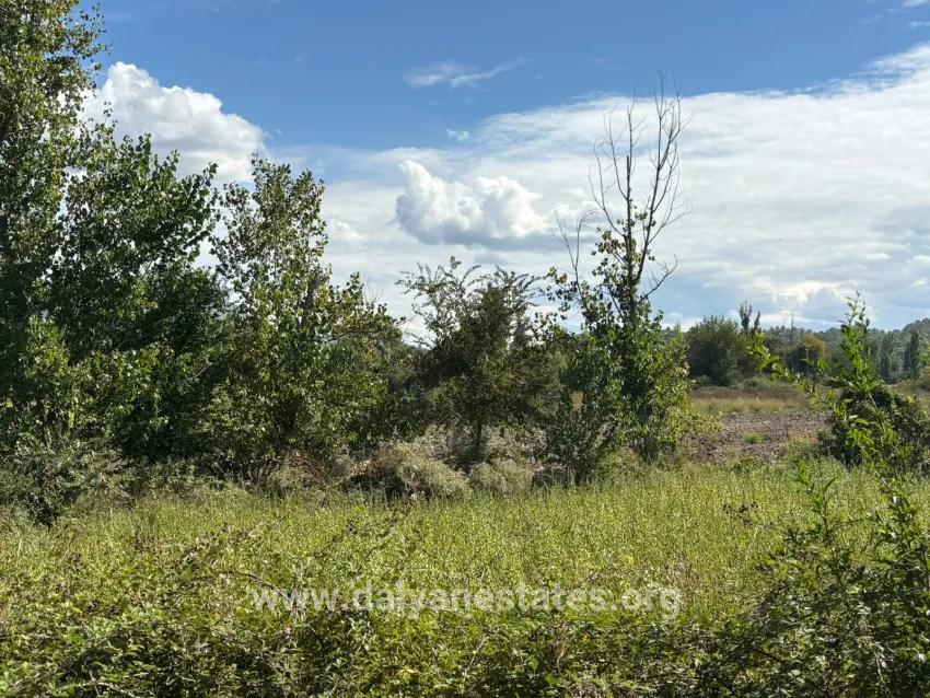 Field For sale in Zeytinalanı Nbh. Köyceğiz - Field Zoned - 10.500 m²