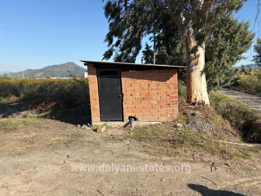 21500m2 Pomegranate Garden For Sale In Eskiköy