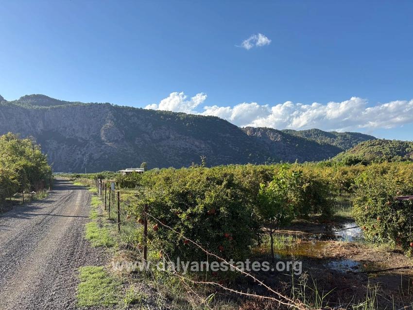 3900m2 Land For Sale With Construction Permit In Ortaca Yesilyurt