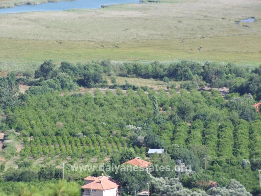 19,334 M² Plot Of Land For Sale In Çandır, Köyceğiz.