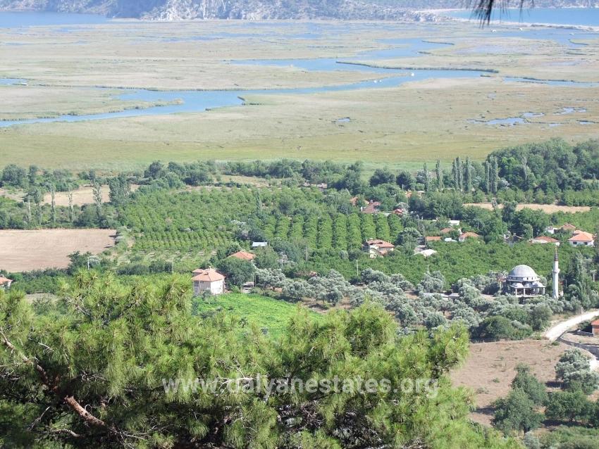 19,334 M² Plot Of Land For Sale In Çandır, Köyceğiz.