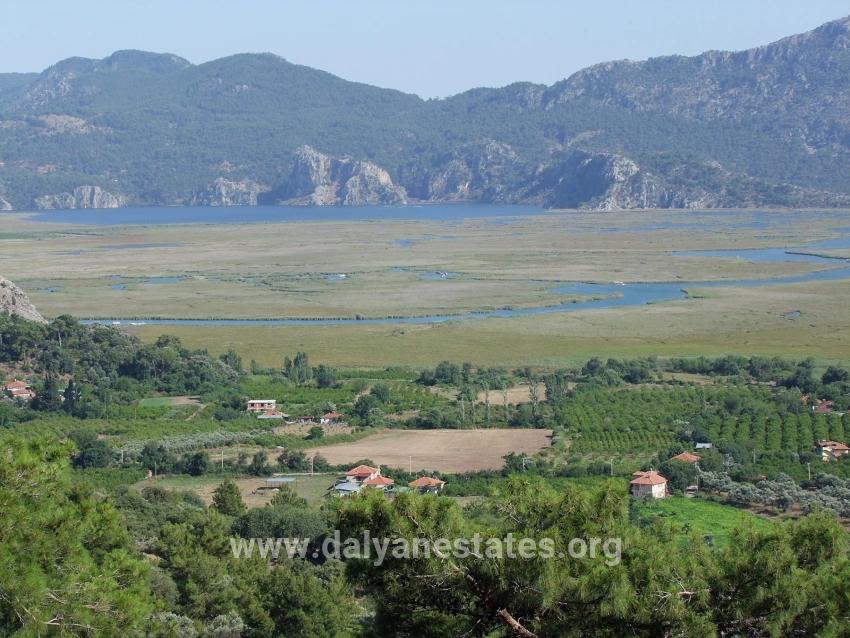 19,334 M² Plot Of Land For Sale In Çandır, Köyceğiz.