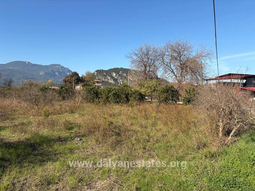 4,541 M² Garden For Sale In Dalyan.