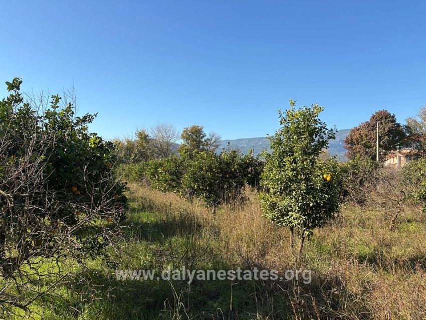 4,541 M² Garden For Sale In Dalyan.
