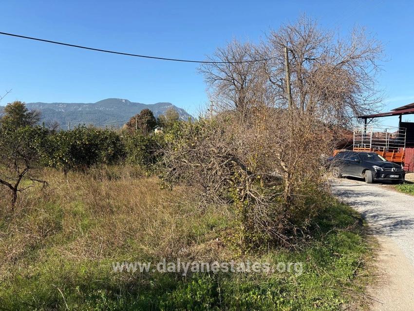 4,541 M² Garden For Sale In Dalyan.