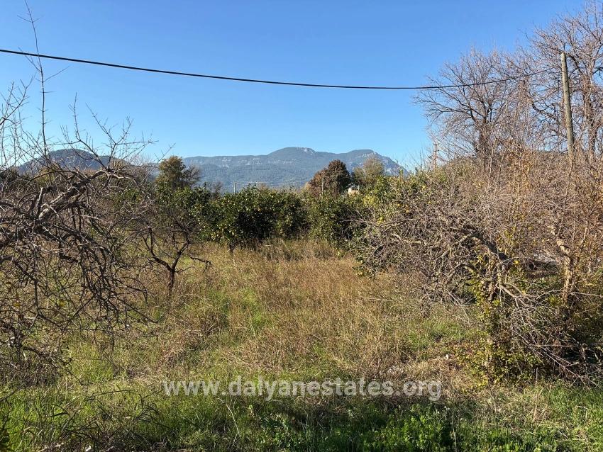 4,541 M² Garden For Sale In Dalyan.