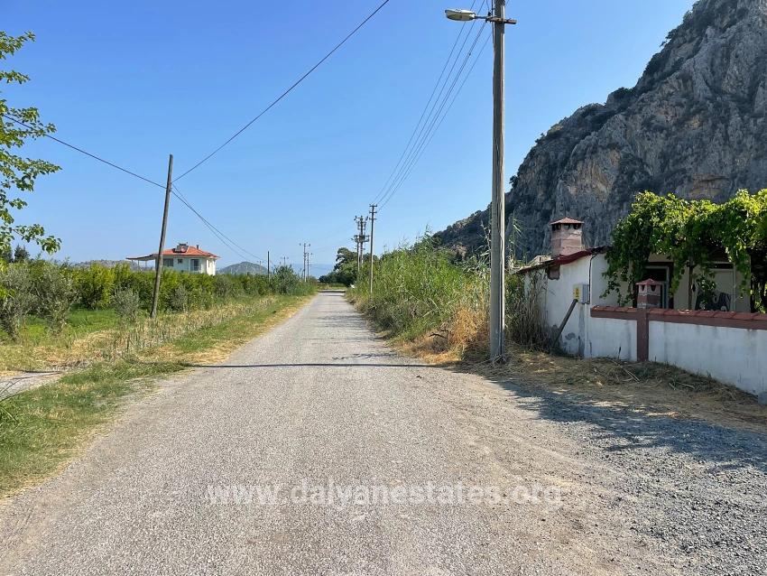 10,000 M² Pomegranate Orchard For Sale In Dalyan Arıkbaşı Gerendüzü Area.