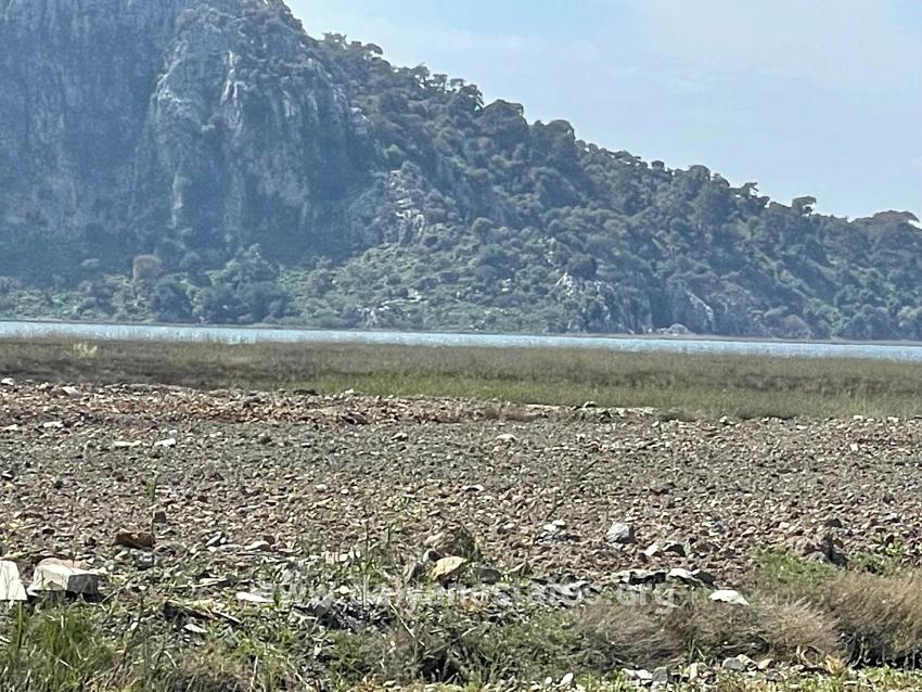19,600 M² Plot Of Land For Sale, Located Directly On The Road To Dalyan Iztuzu Beach.