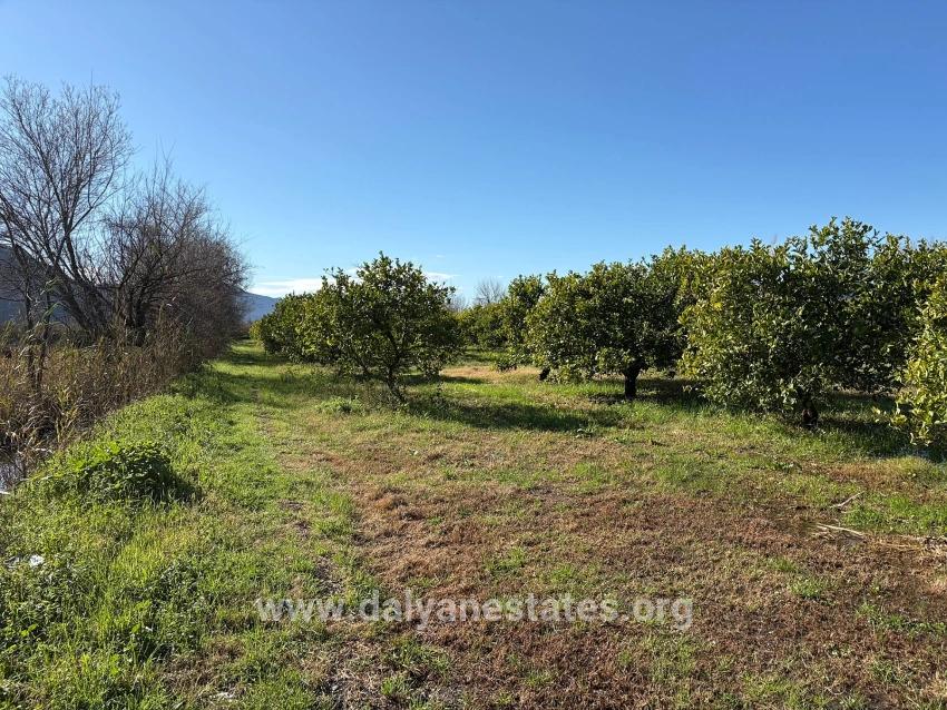 Field For sale in Dalyan Nbh. Ortaca - Field Zoned - 16.500 m²